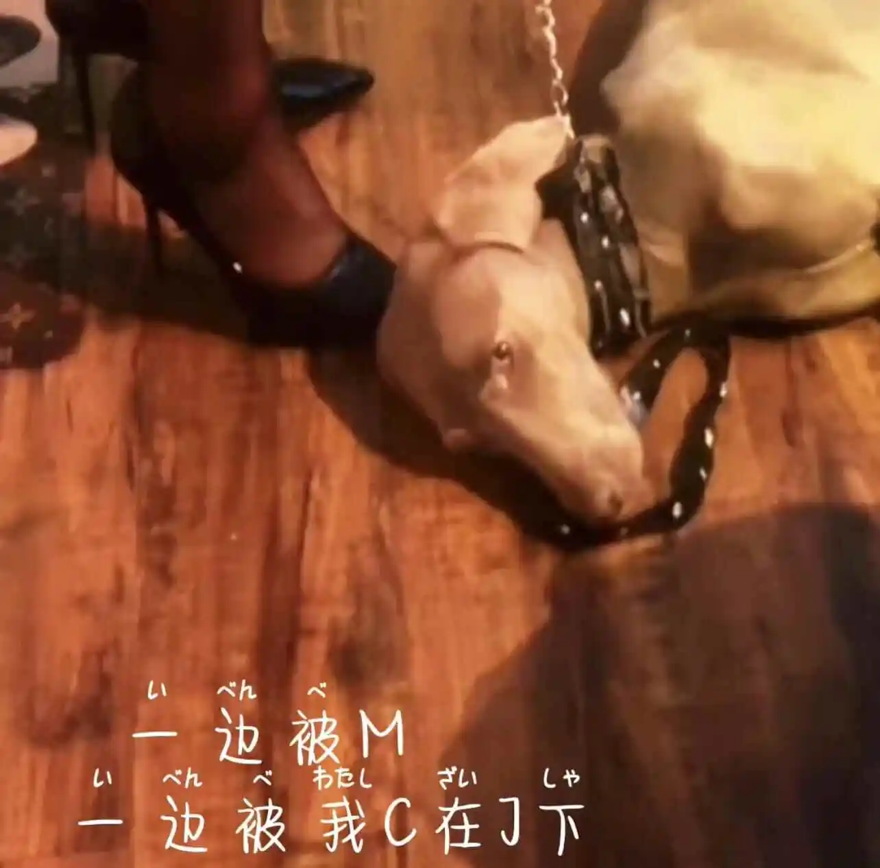 【西檬之家】Spank入圈指南：新手如何正确理解与体验SP