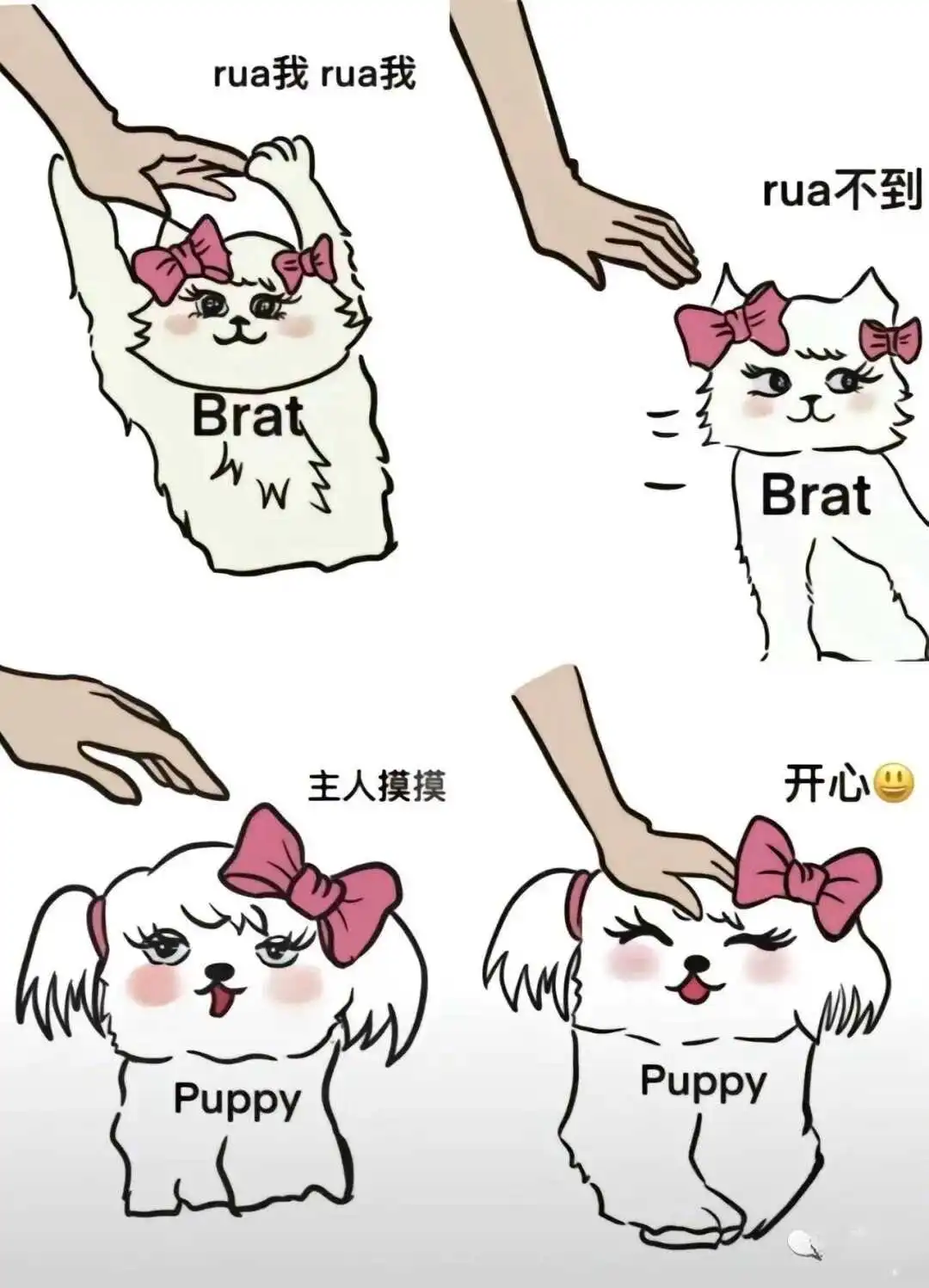 【西檬之家】Brat属性解析：字母圈新人入门权威指南