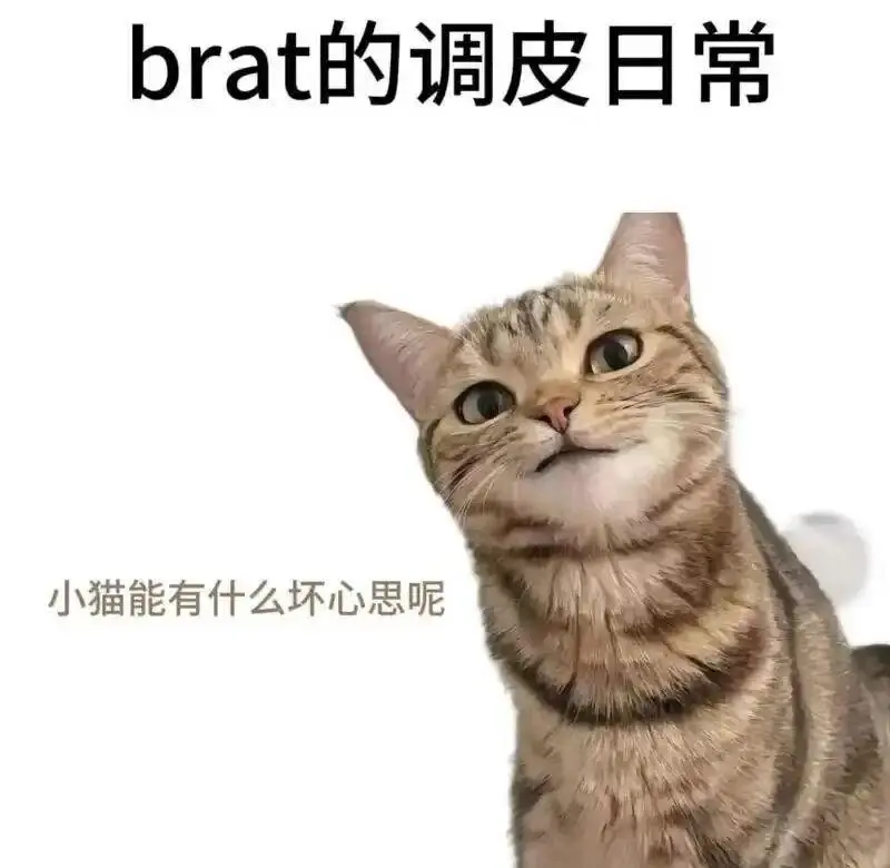 西檬之家-字母圈新人必看：理解BDSM核心术语与SSC原则