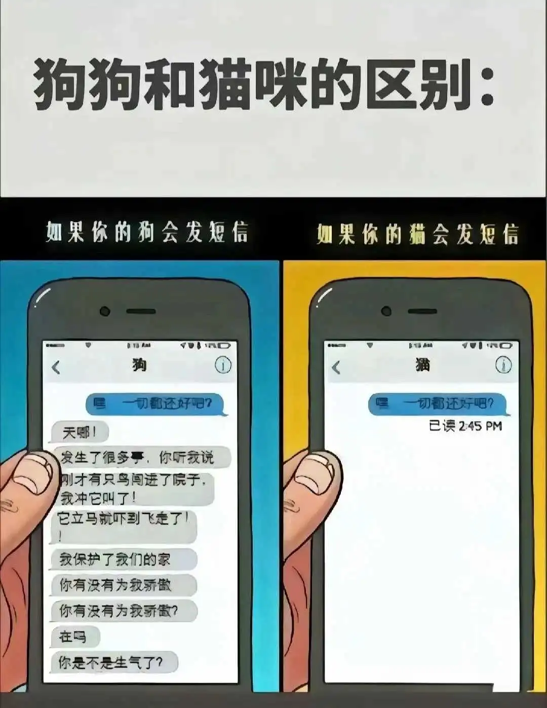 【西檬之家】K8是什么意思？字母圈新人入门指南