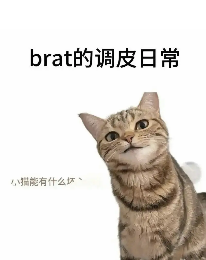 【西檬之家】女王入门指南：字母圈新人如何理解Dom与SSC原则