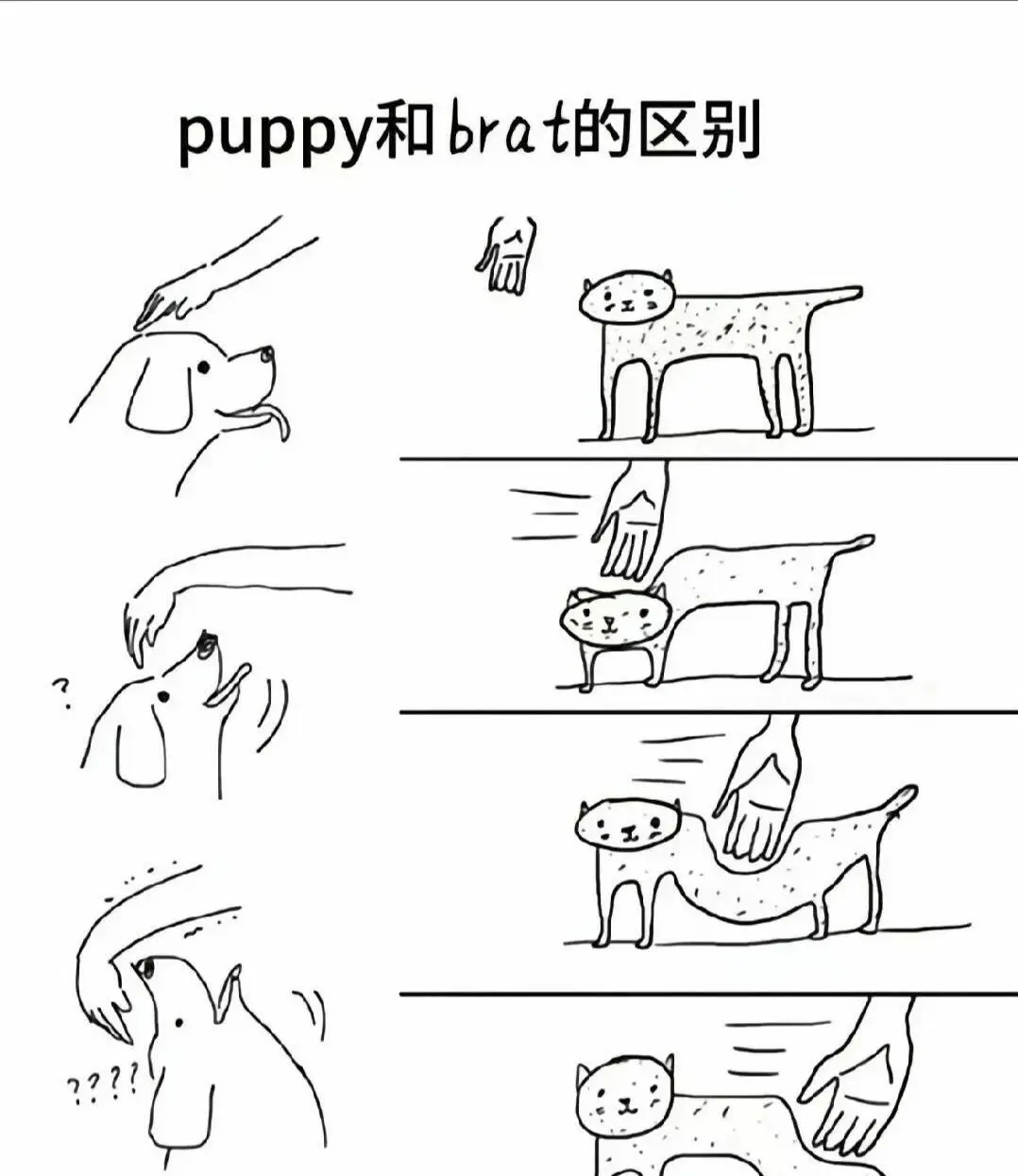 【西檬之家】S是什么意思？字母圈新人必修的BDSM术语指南
