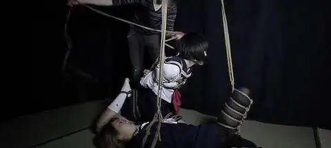 【西檬之家】K9犬系解析：BDSM社群中的忠诚与服从