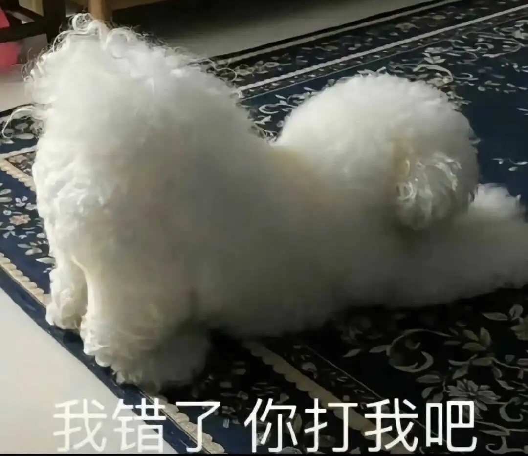 西檬之家-大圈是什么意思？BDSM新人入圈权威指南